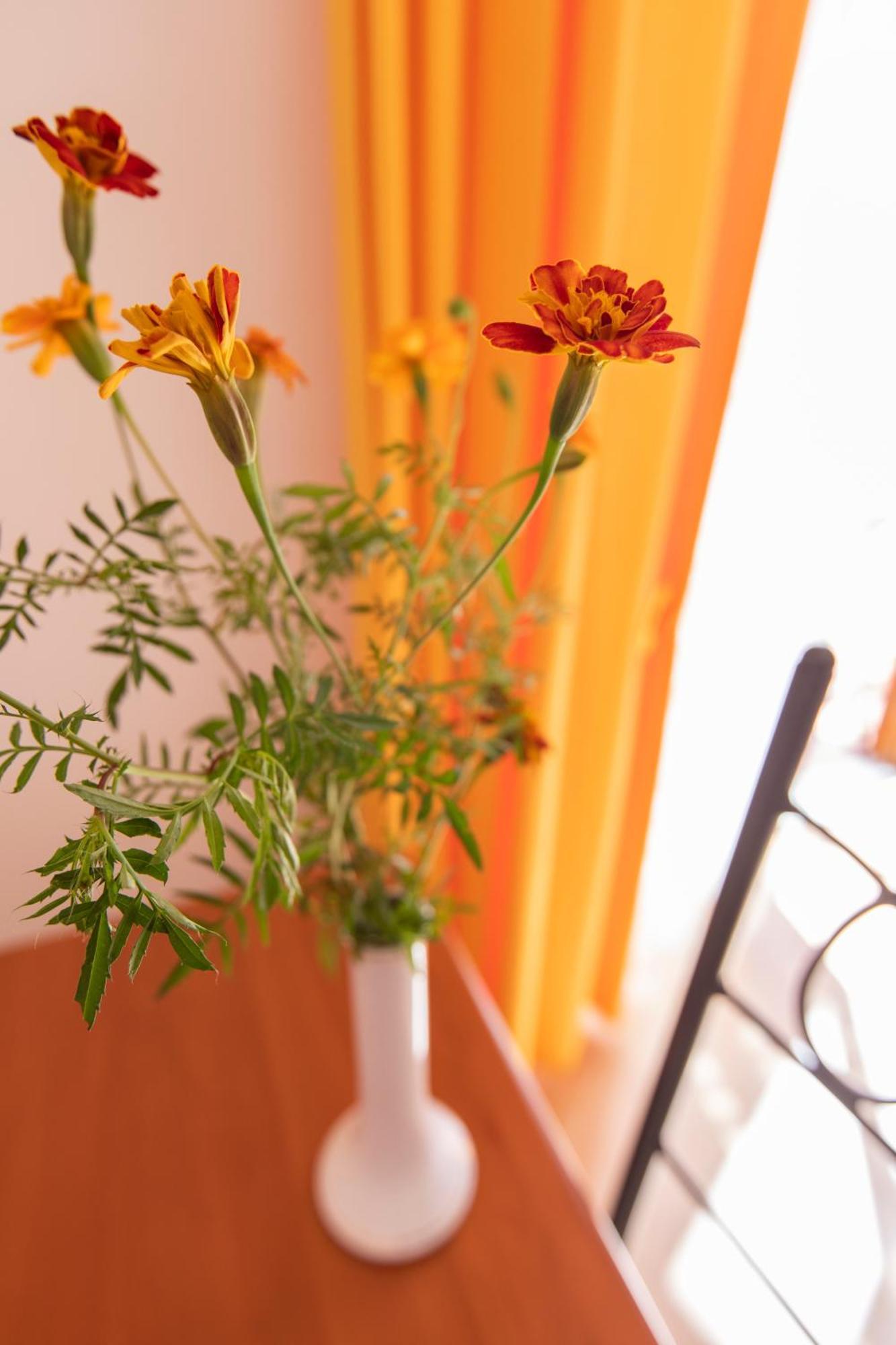 Sant'Anna Bed & Breakfast Agerola Luaran gambar